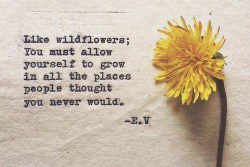 Quote Of The Day: “Like wildflowers; you must allow yourself to grow…” |  USAP Group
